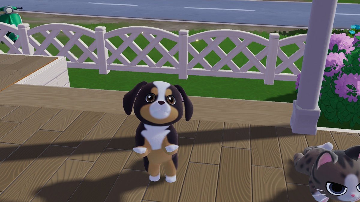 ___j___4's tweet image. kimi and kami