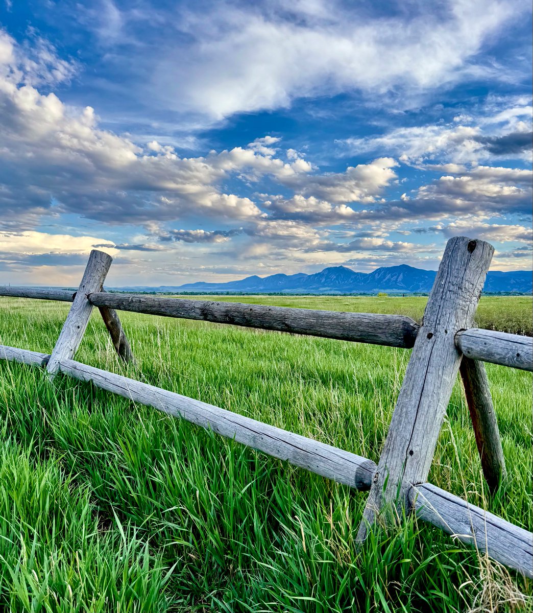 D Miller tweet media