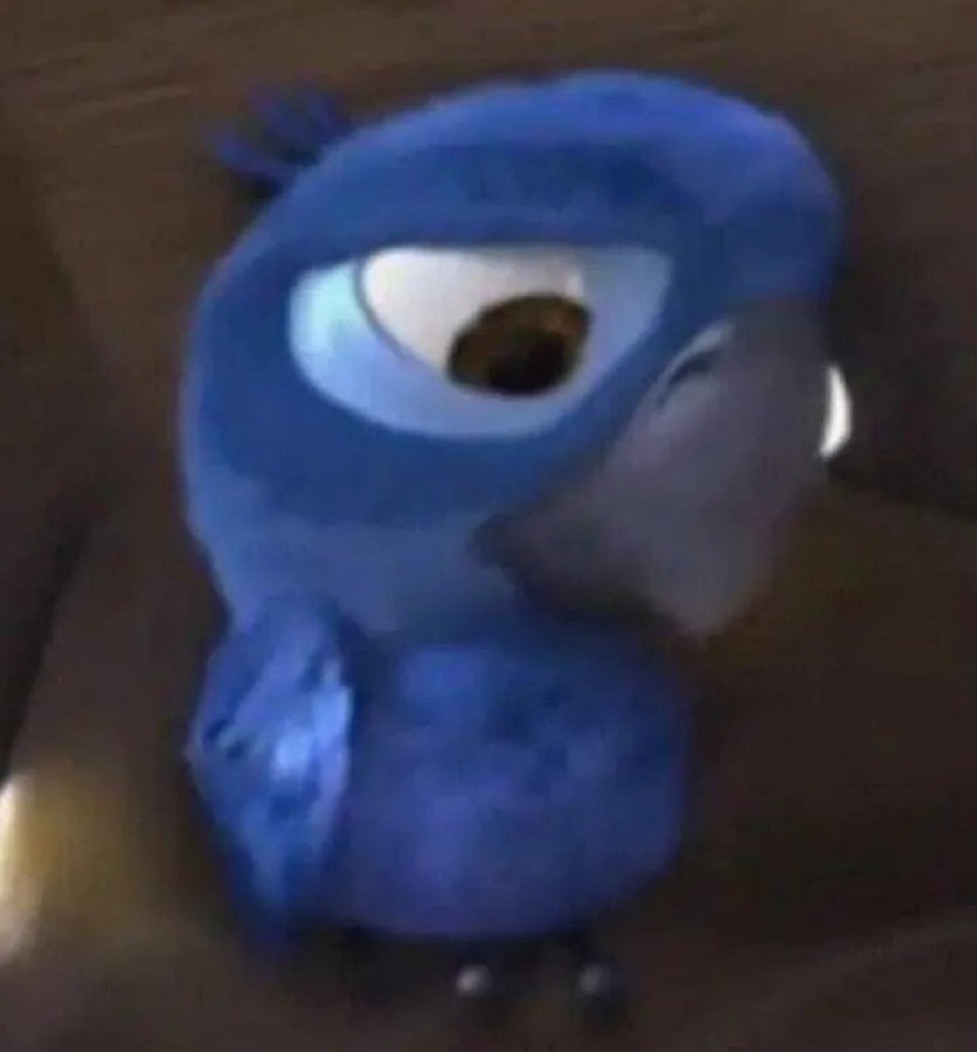 xotasagrada's tweet image. Quero roupas, mas não quero pagar por elas