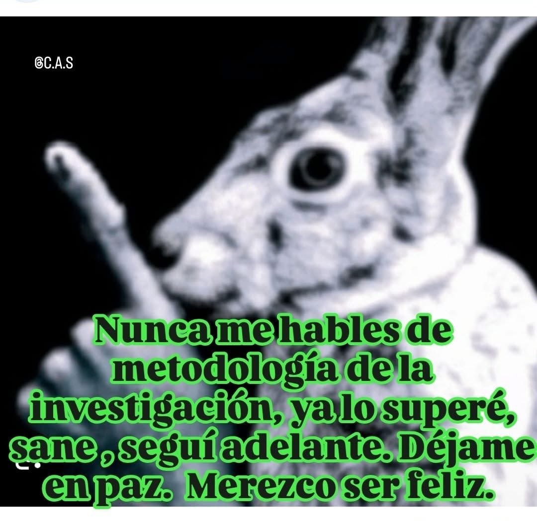 memes feos yo qué sé (@memefeos) on Twitter photo 