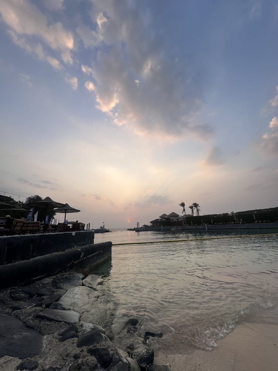 Alaa.mahsoon tweet media