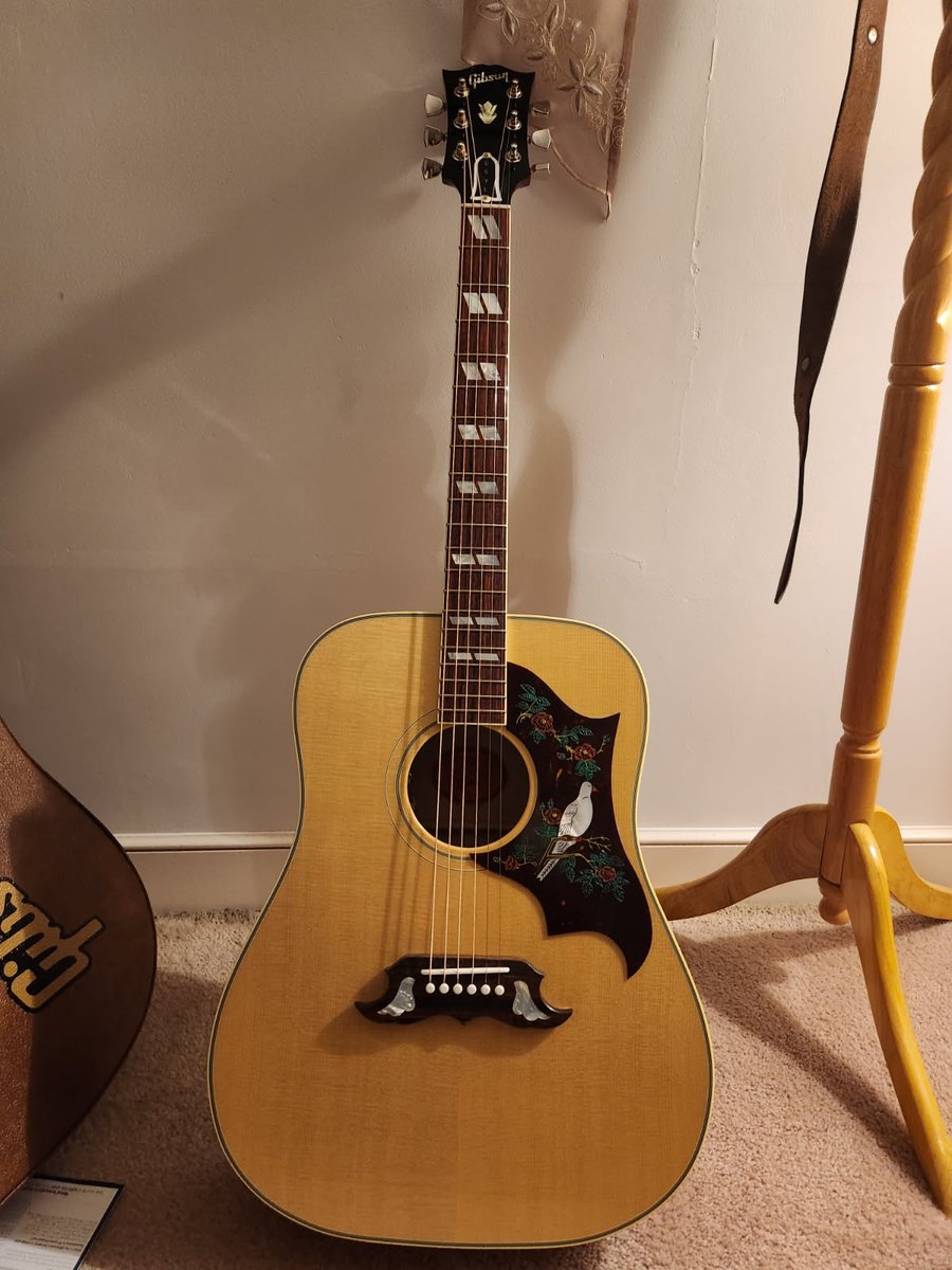 My latest purchase. Gibson Dove.