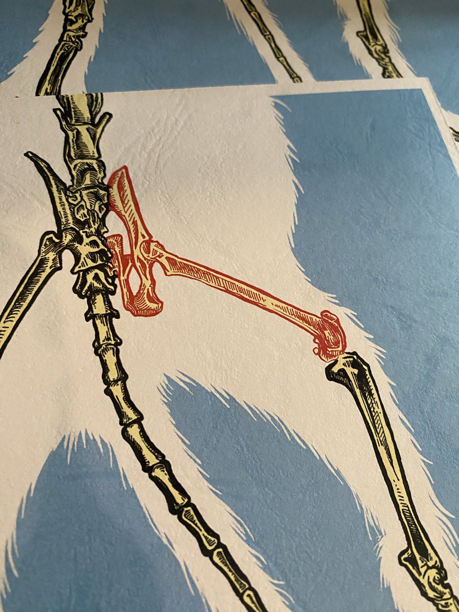 Kucing gue si Puput, abis jatoh dr lantai 8, lalu gue operasi dgn bantuan temen2 dr IG dan terkumpul dana, operasi berhasil! Tp sepulang itu malah kena virus Panleu dr tempat dia ranap. Artprint donasi ini akhirnya gue putusin mirroring kesini. 20 x 25cm on concorde paper. Cont-