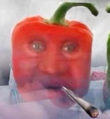 TonyR0quai's tweet image. Des fois j’ai l’impression d’être ce poivron