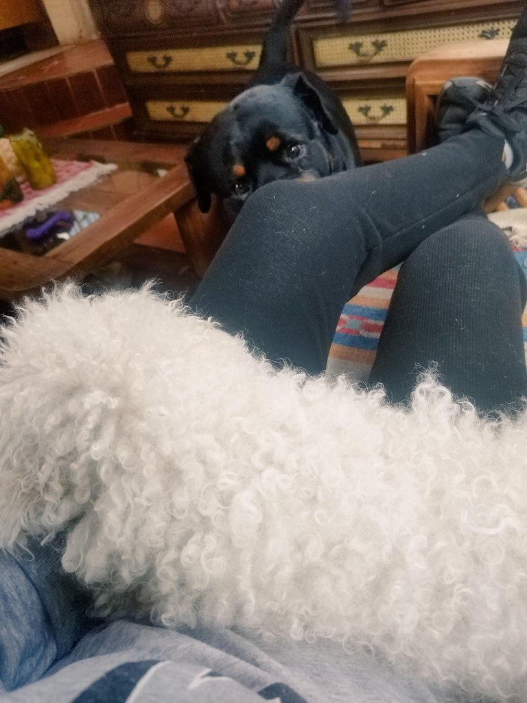 otsor's tweet image. Invasión de espacio personal