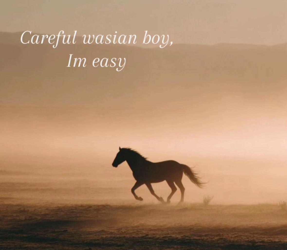 KAY ⭑.ᐟ tweet media