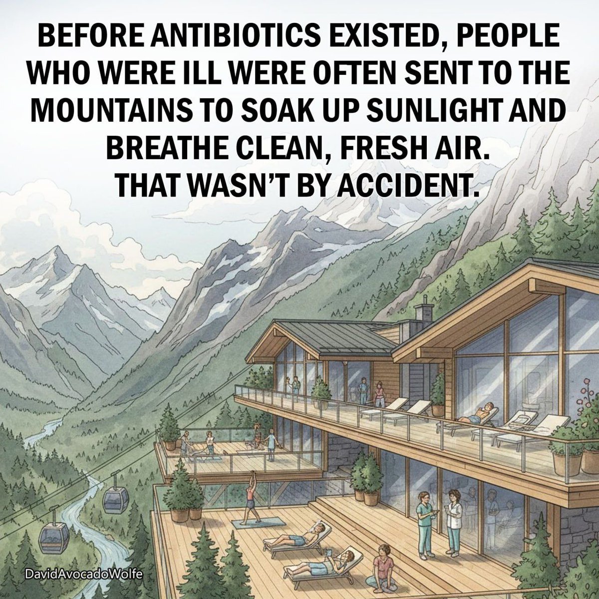 DavidWolfe's tweet image. 