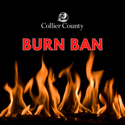 Collier County Government tweet media