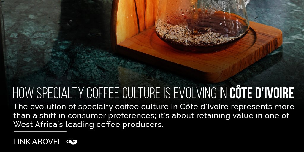 PerfectDailyG's tweet image. The evolution of #specialtycoffee culture in Côte d'Ivoire represents more than a shift in consumer preferences; it’s about retaining value in one of West Africa’s major coffee producers.👉perfectdailygrind.com/2026/01/specia…