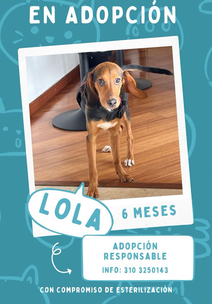 Le encontramos familia? 🤎 me ayudan con un RT porfa? <a href="/VLADDO/">Vladdo</a> <a href="/andreanimalidad/">Andrea Padilla |Senado Alianza Verde🌻#️⃣1️⃣4️⃣</a>