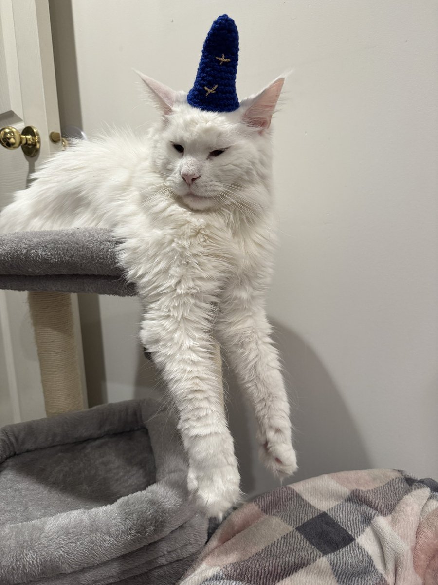 TweetsByBug's tweet image. the Wizard of Dangling