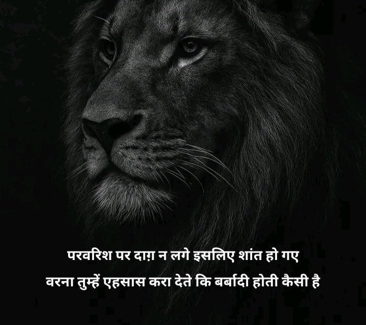 परवरिश पर दाग़ न लगे इसलिए शांत हो गए ,
वरना तुम्हें एहसास करा देते कि बर्बादी होती कैसी है ,...