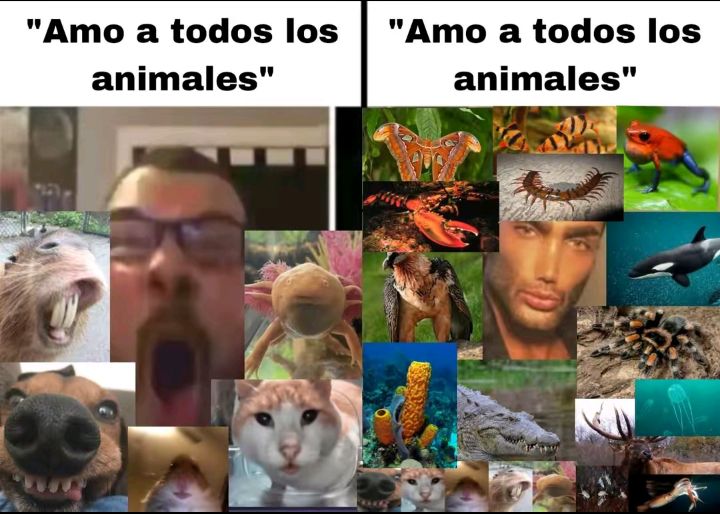 KaguyaSama_Fan's tweet image. 