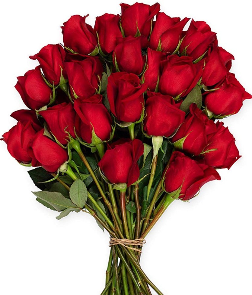 <a href="/Lara_Ceci/">Ceci</a> 
Buenos días Ceci ☕️🌷🤗
Te deseo un hermoso viernes 👍