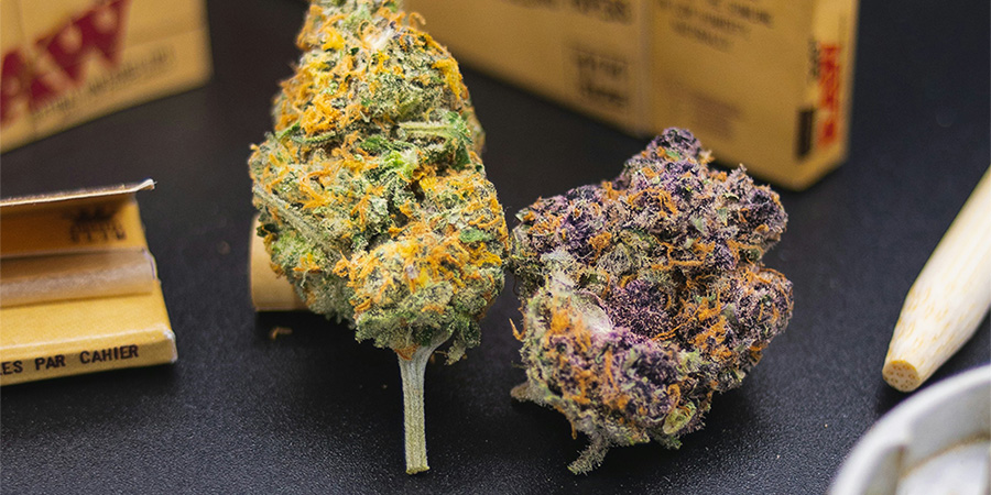 Cannabis and Dental Anesthesia: Why Your Dentist Should Know
Understand how THC and CBD can affect dental numbing and sedation, what research suggests about sedation requirements, and what to tell your dentist
cannawayz.com/blog/health-st…