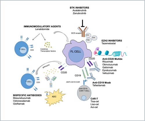 Chemotherapy‐Sparing Strategies in Follicular Lymphoma: Emerging Targeted and Immune‐Based Approaches - Martino - European Journal of Haematology - Wiley Online Library onlinelibrary.wiley.com/doi/10.1111/ej… #lymsm