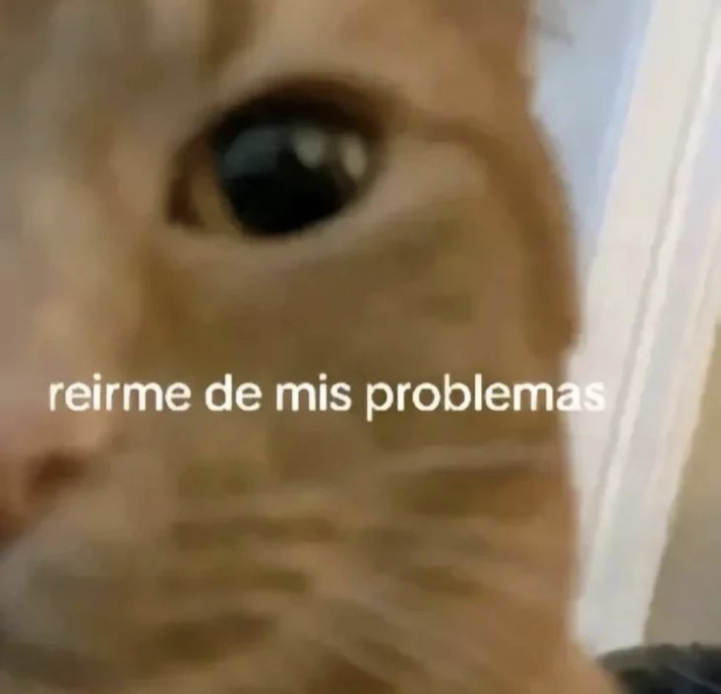 skereunpesado's tweet image. 