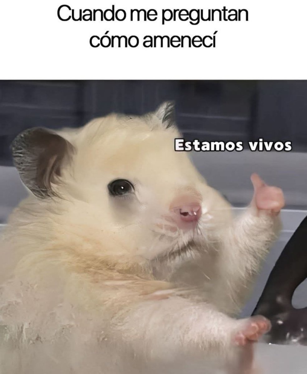 Ana_LaPatata (@ymuchosmemes) on Twitter photo 