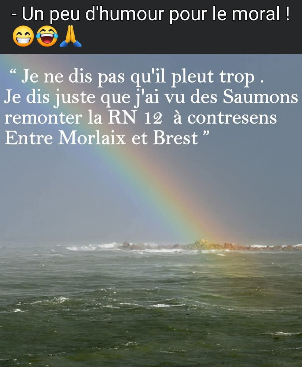 Sofboubou (@sofboubou1) on Twitter photo 