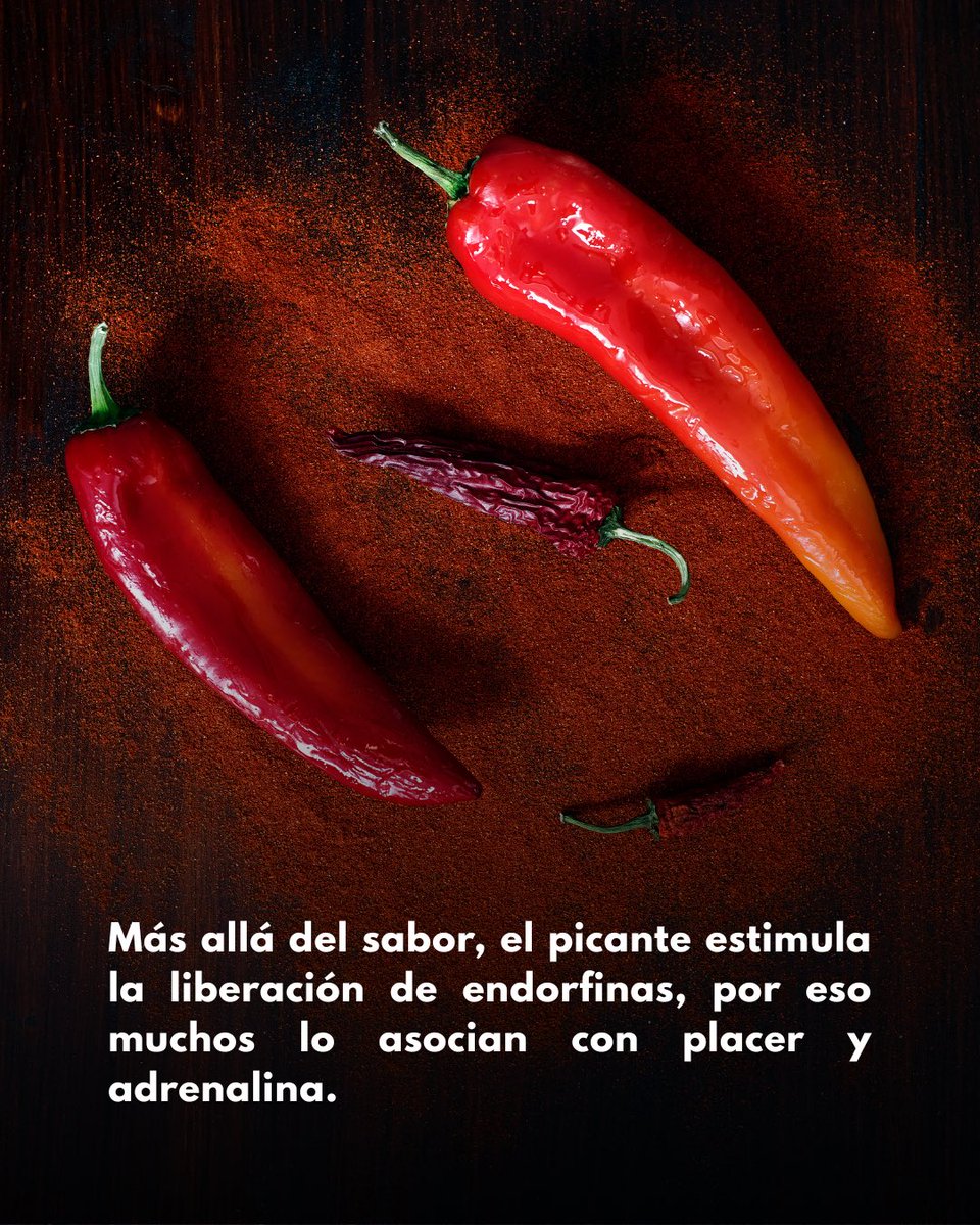 Hoy celebramos el Día Mundial de la Comida Picante 🌶️🔥
Porque sin ese toque de picor, la vida no sabe igual.

¿Team suave o team fuego extremo? 😈