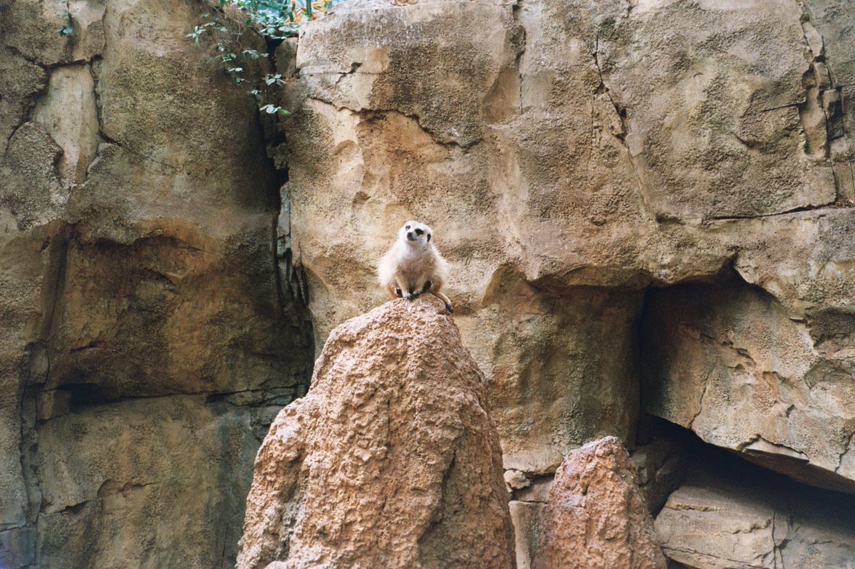 liamconns's tweet image. Q4 flicks