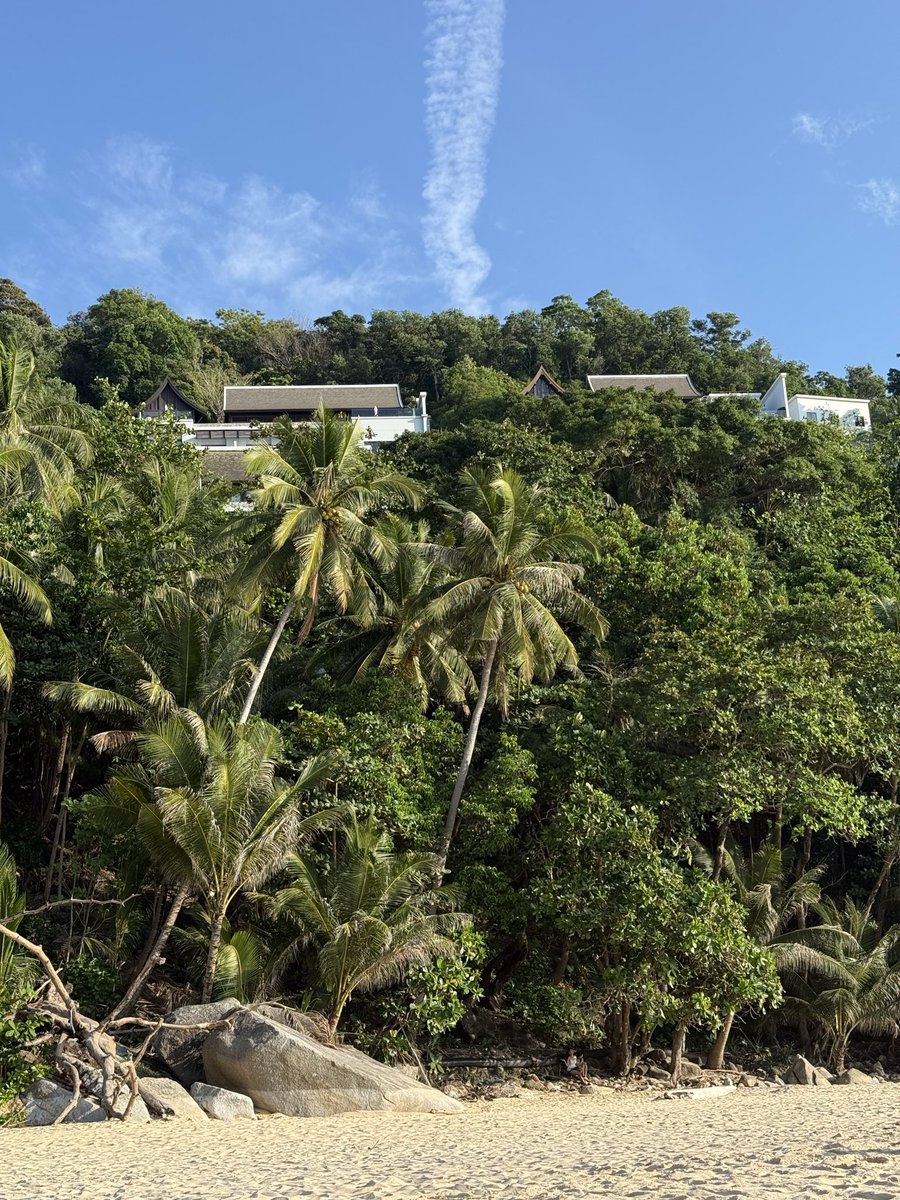 Kseniya Larico ⦿ tweet media