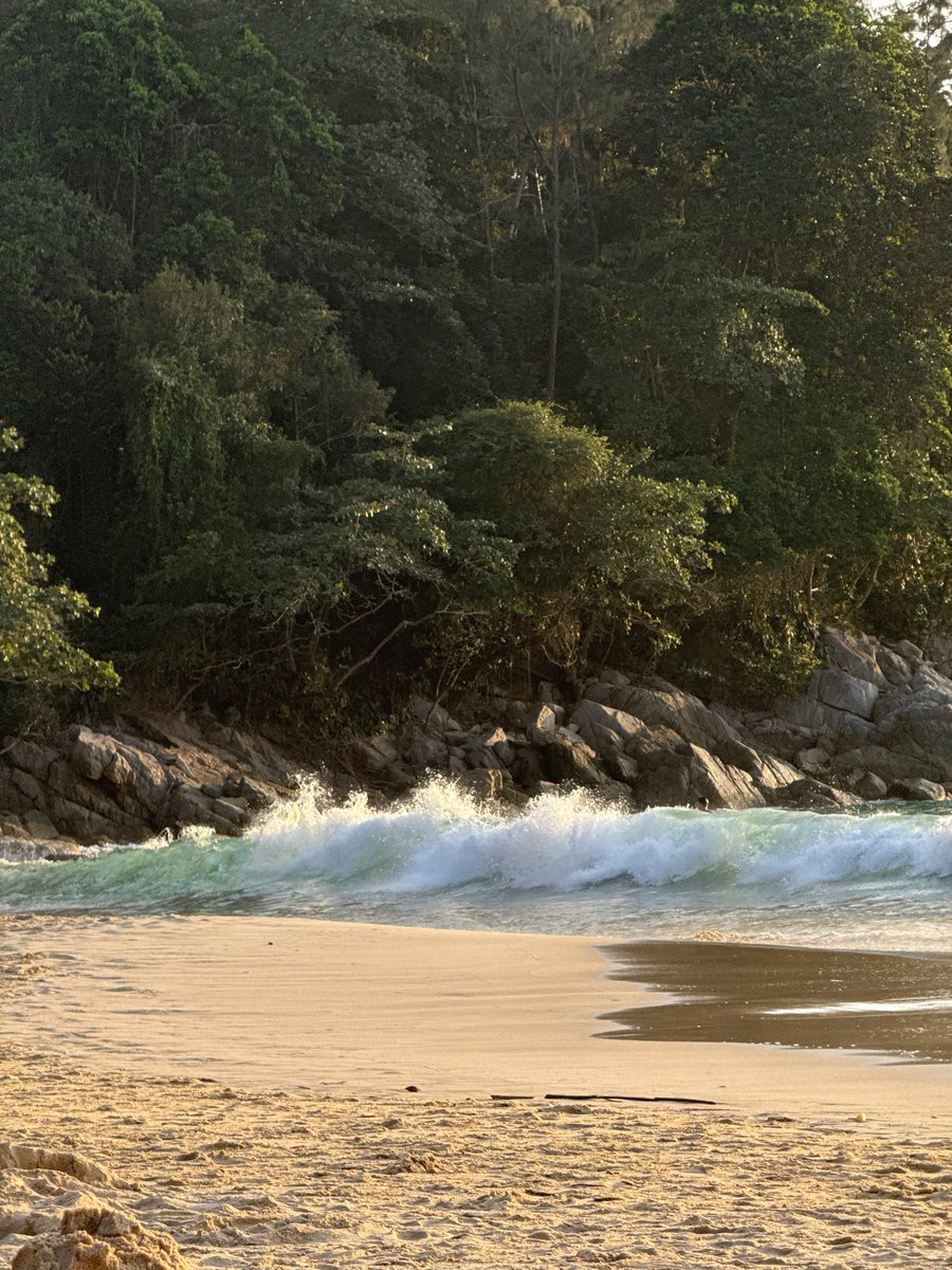 Kseniya Larico ⦿ tweet media