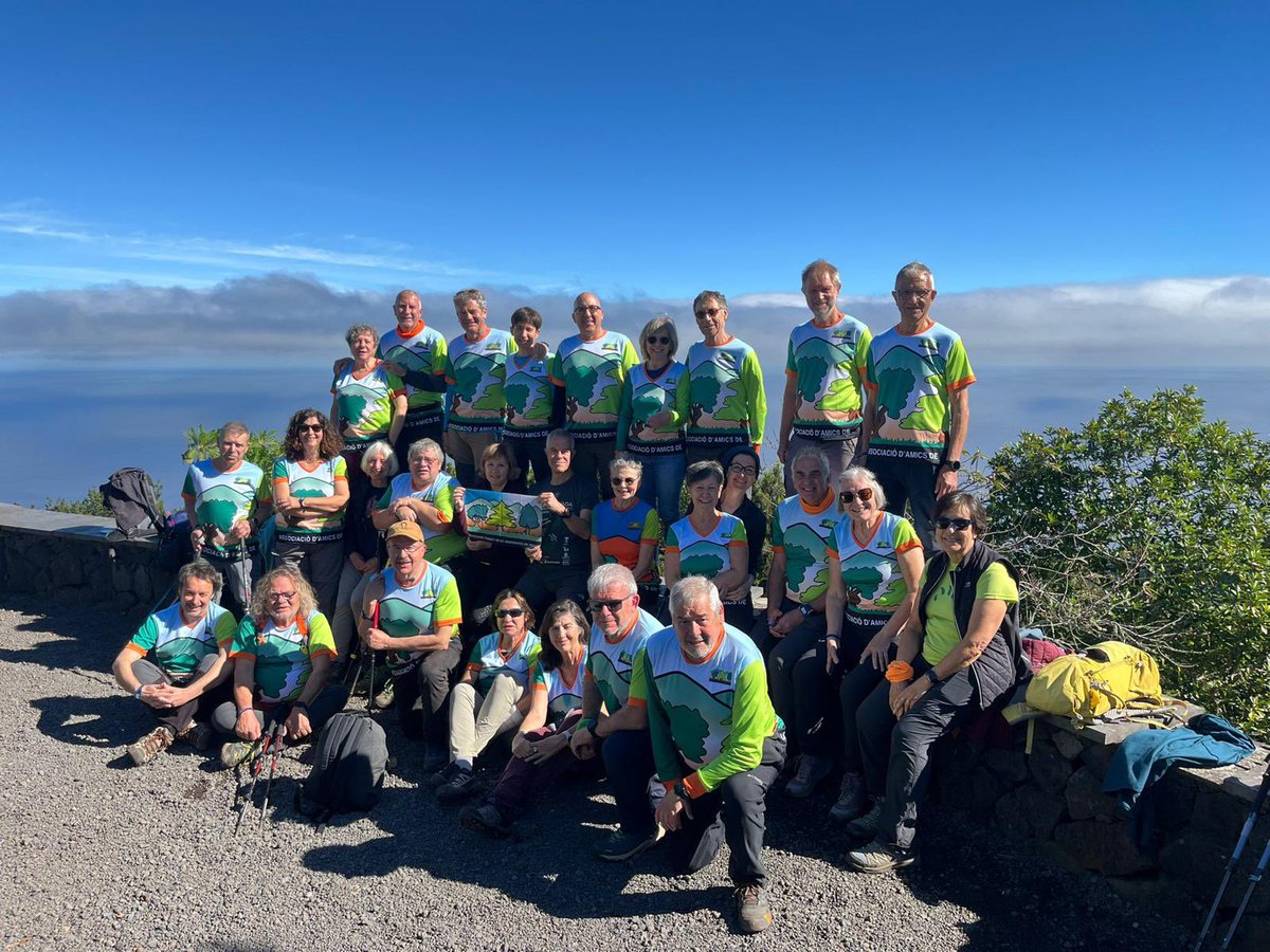 aamp.cat tweet media