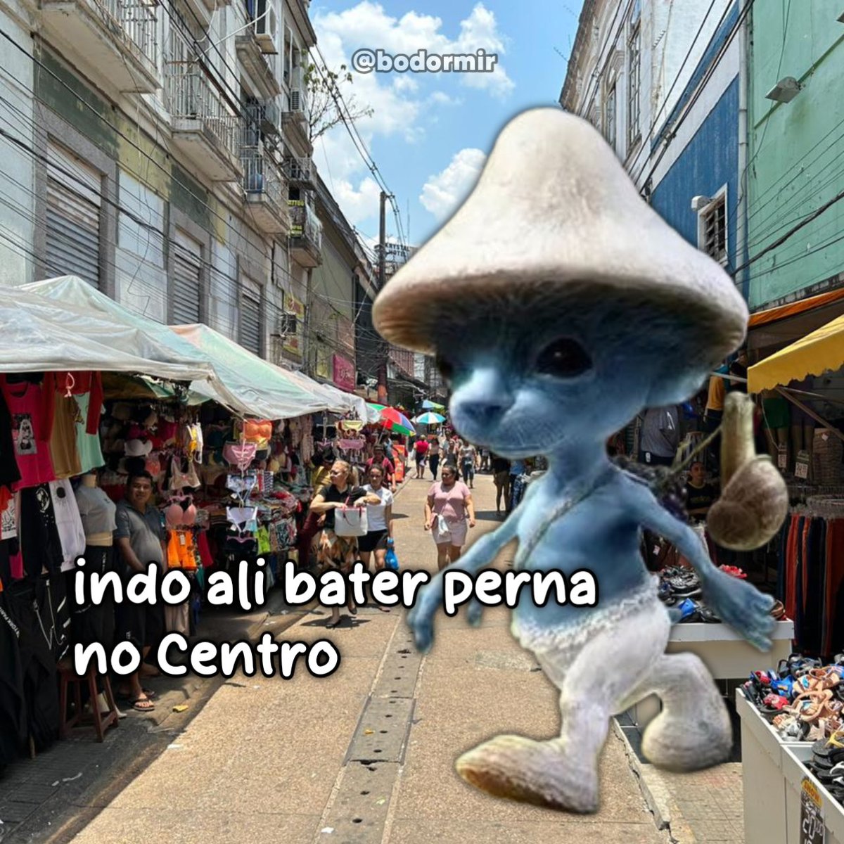 as vezes, dois kikães is janta💤 tweet media