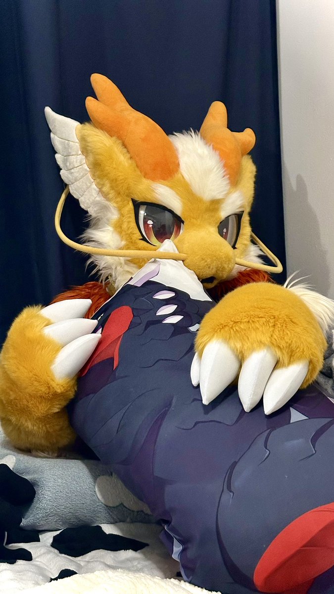 Is today #AppreciateADragonDay? Are you going to appreciate me?
#FursuitFriday