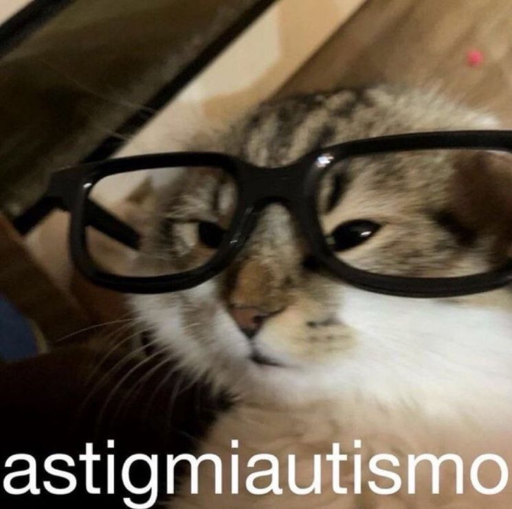 Filch_1's tweet image. 