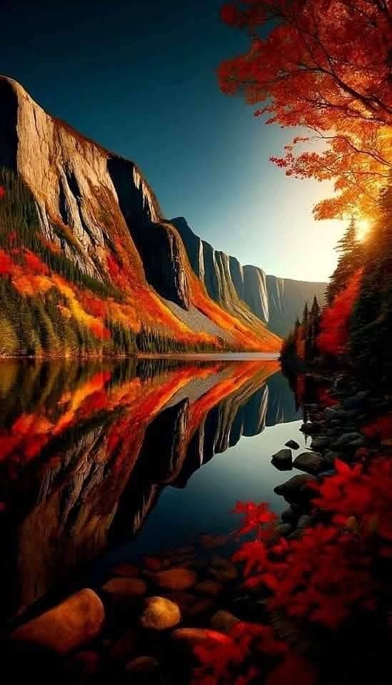 🌺🌼🌿🌼 Ǥ𝓻𝐚ｚɨａ 🌼🌿🌼🌺 tweet media