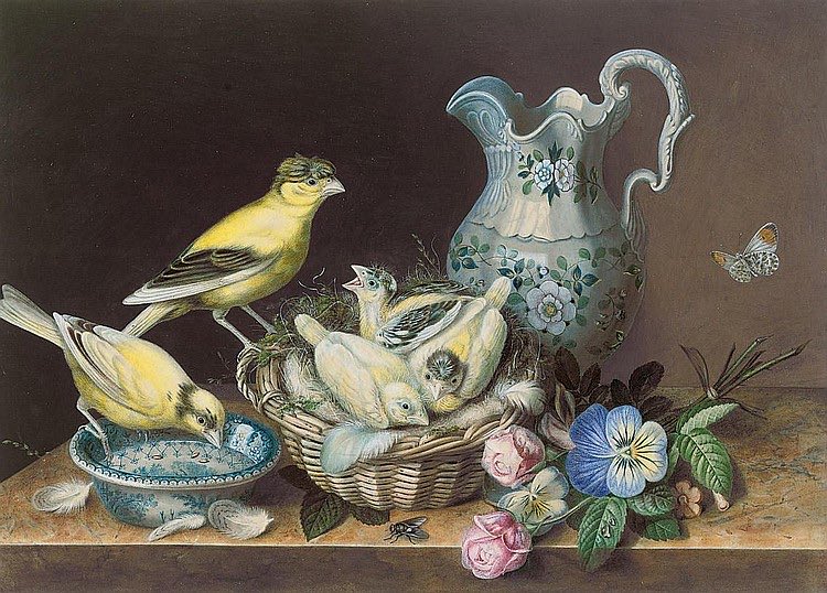 No, Augusta Innes Withers (1792–1877) no pintaba bodegones comunes.

Poseía profundos conocimientos en botánica y zoología, fundamentales para su carrera como ilustradora de historia natural en el siglo XIX. 
Colaboró con importantes científicos y fue Pintora de Flores de Cámara.