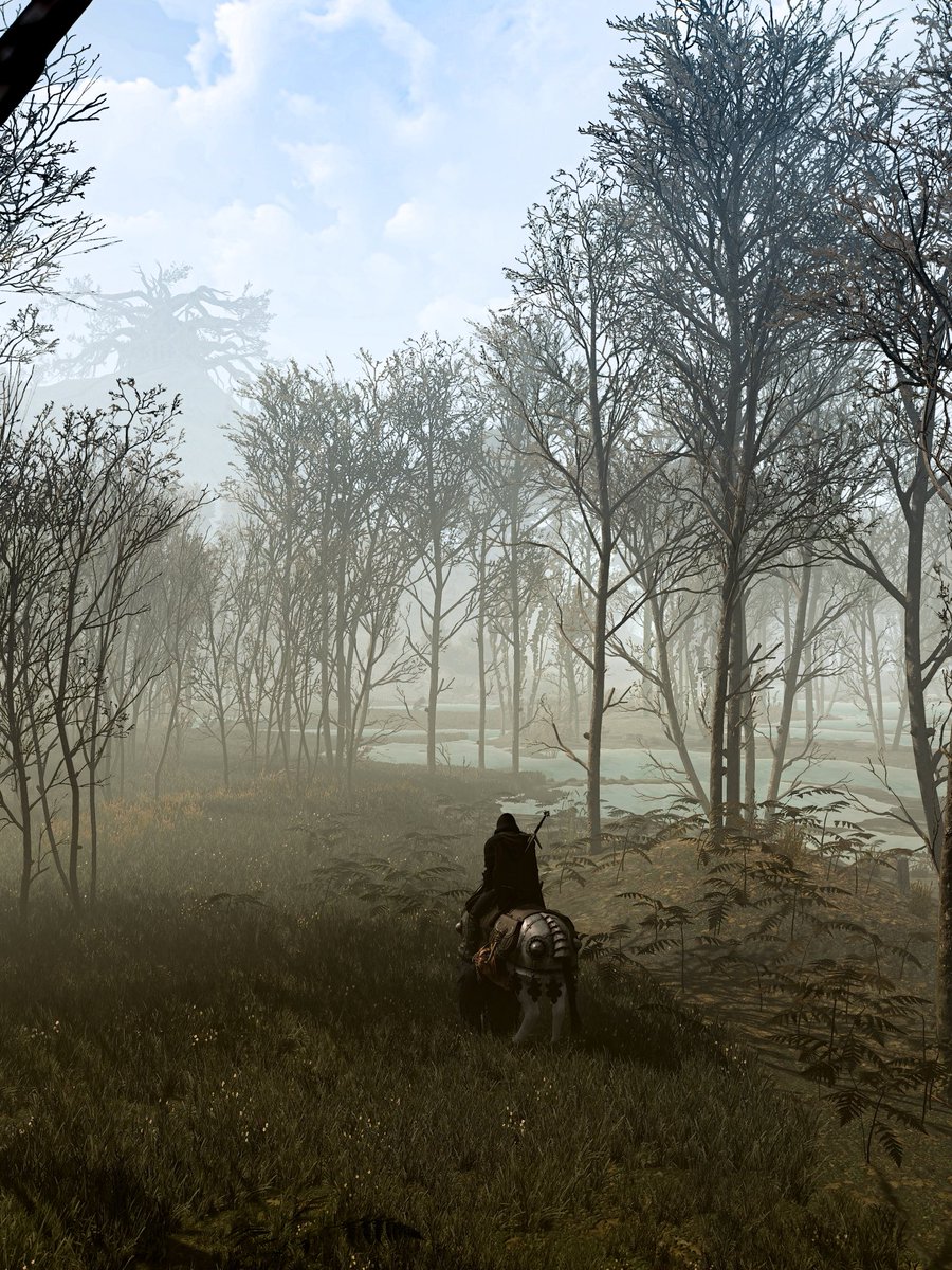Through the woods and mist..

The Witcher 3 Wild Hunt

#VirtualPhotography #Photomode #TheWitcher #TheWitcher3
<a href="/VGPNetwork/">VGPNetwork</a> <a href="/thewitcher/">The Witcher</a>