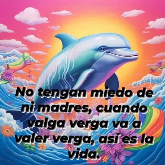 MexicoMagico's tweet image. 