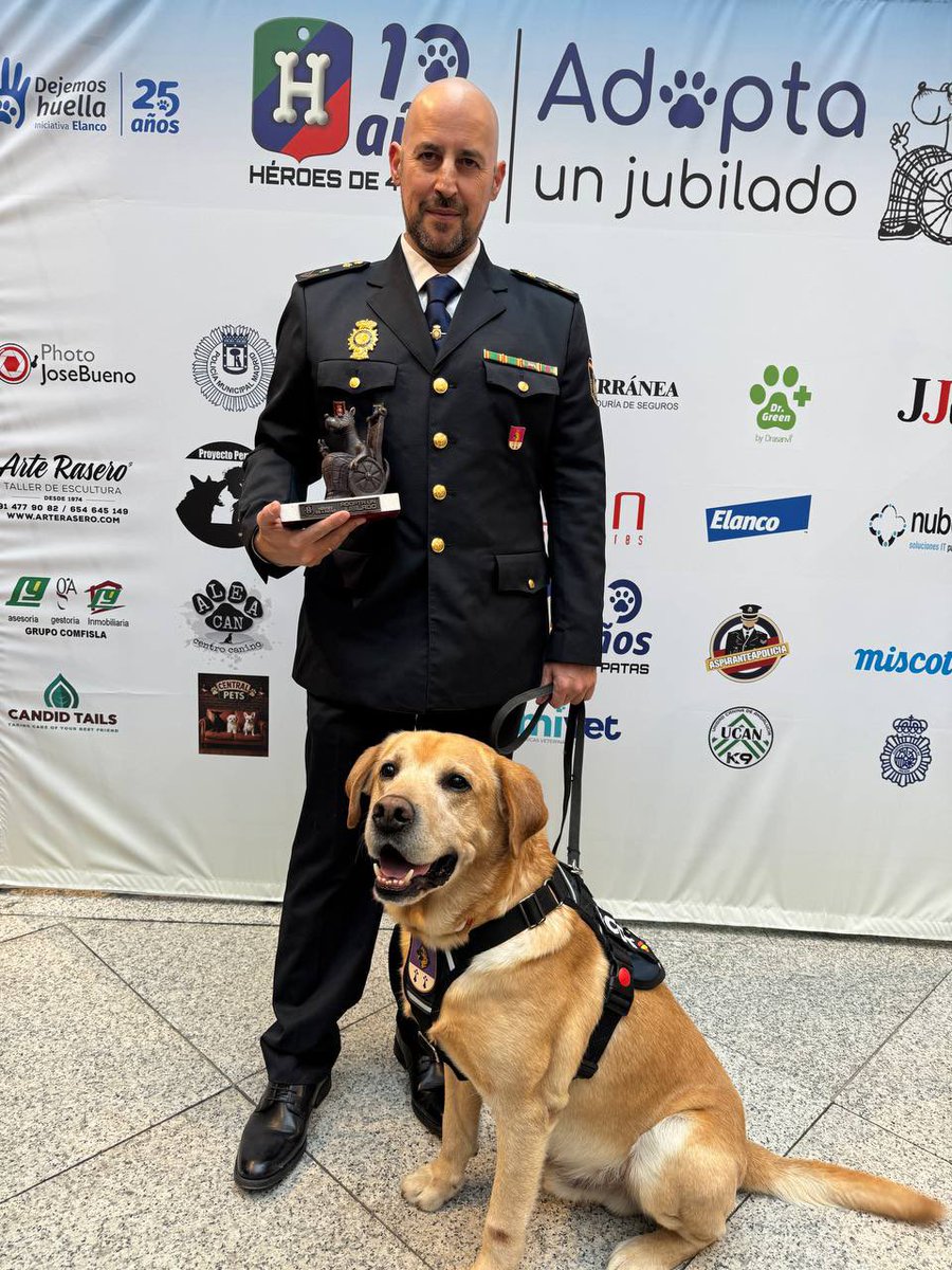 policia's tweet image. Hoy hemos vivido un momento muy especial ✨🤍

Nuestro compañero y su perro Scottex 👮‍♂️🐶 han recogido la distinción denominada Jubi 🏆, otorgada por la asociación @heroesde4patas 🤍, en un acto celebrado en la Real Casa de Postas de #Madrid🏛️

Por una trayectoria marcada por el…