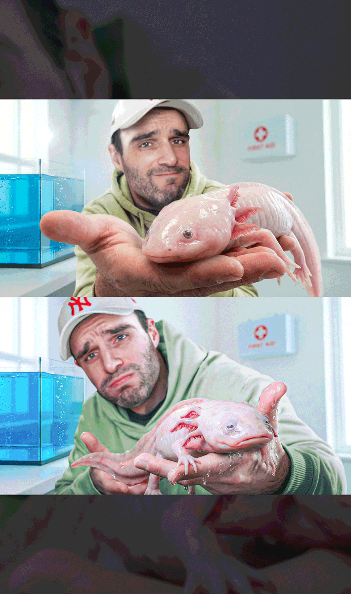 Onyx miniamaker tweet media