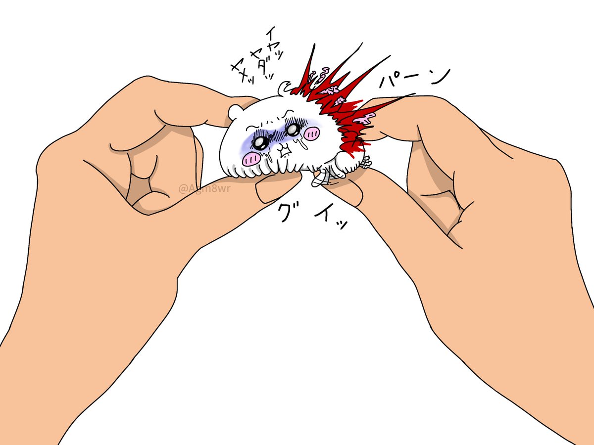 こけまる (@ti37564) / Posts / X