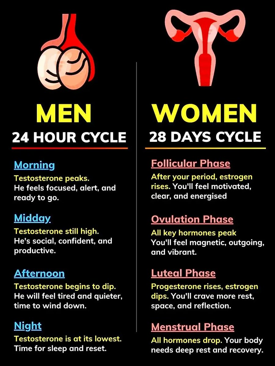 BioLifex's tweet image. Men VS Women hormone cycle.