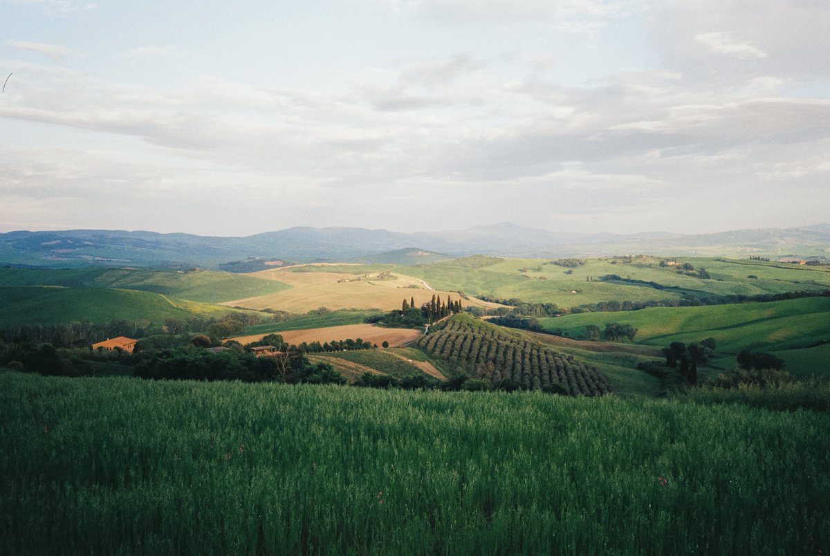 italy on 35mm film 🎞️