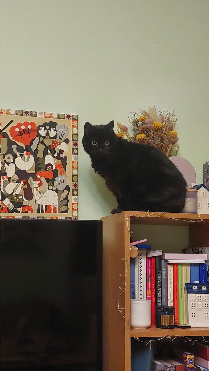 вилізла і знов не розуміє, як там опинилась🤔