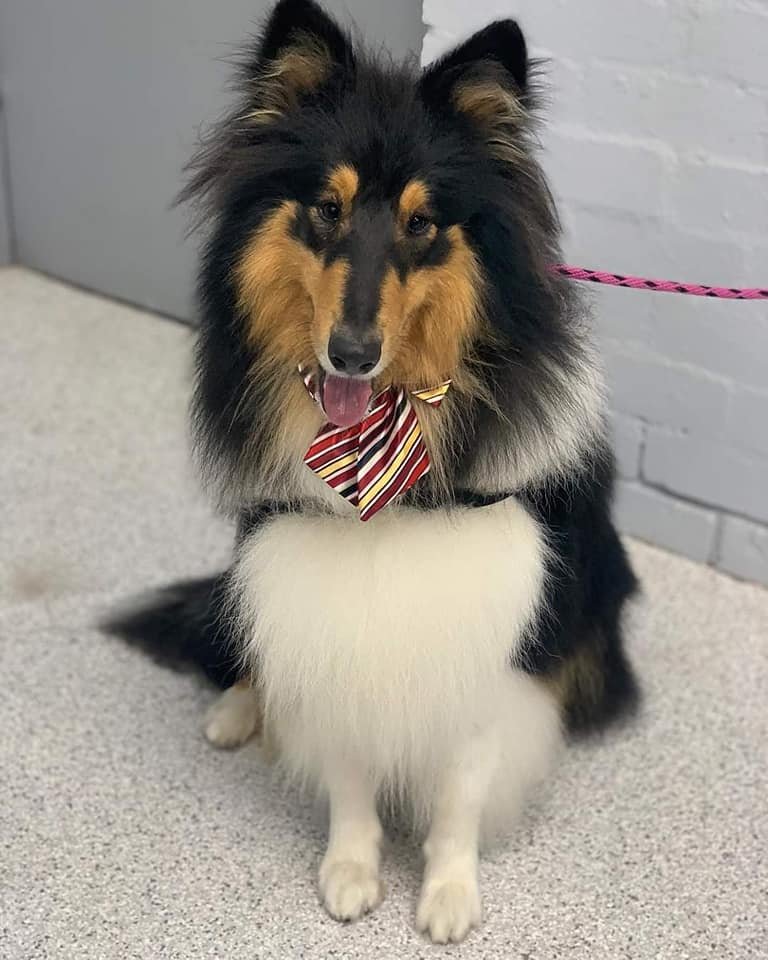 0xmimi (💙,🧡) 🐰 tweet media