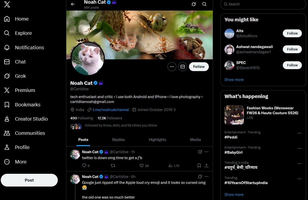 X is down and it is okay but when did you made me unfollow <a href="/Cartidise/">Noah Cat</a>  ? Twitter is cooked .