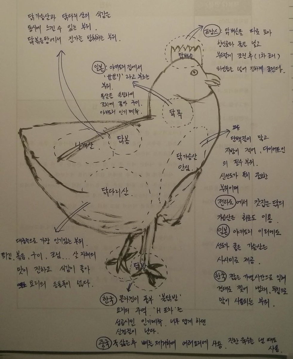 최강록끄가 그린 닭 볼 사람