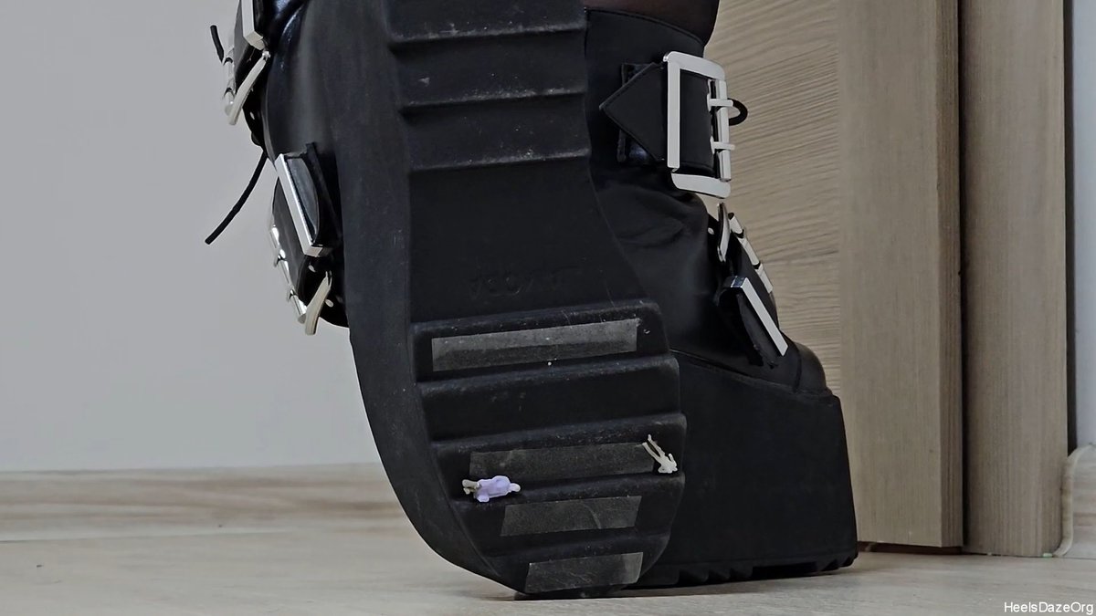 HeelsDazeOrg tweet media