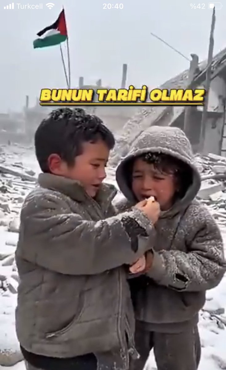 #FreePalestine 
İnsan elbette üşür hâfız; kışta, karda, ayazda, poyrazda, tipide, boranda.. 
Peki insan bir resme bakarken, ya da bir haber izlerken üşür mü? 
Üşümek çoğu kez hafif kalır hâfız, donar insan, içi titrer buz keser Gazze'ye bakarken!