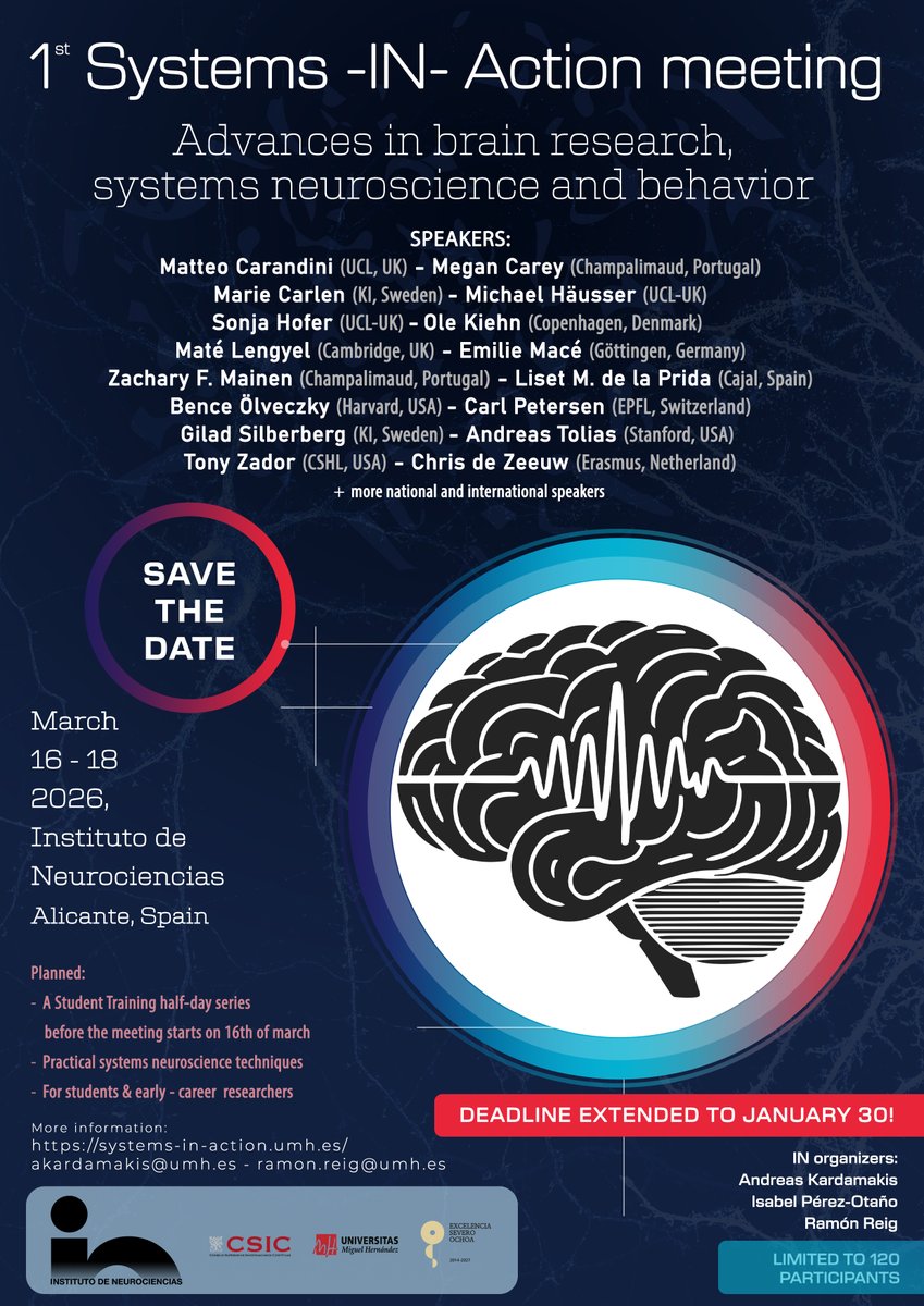 Instituto de Neurociencias UMH-CSIC tweet media