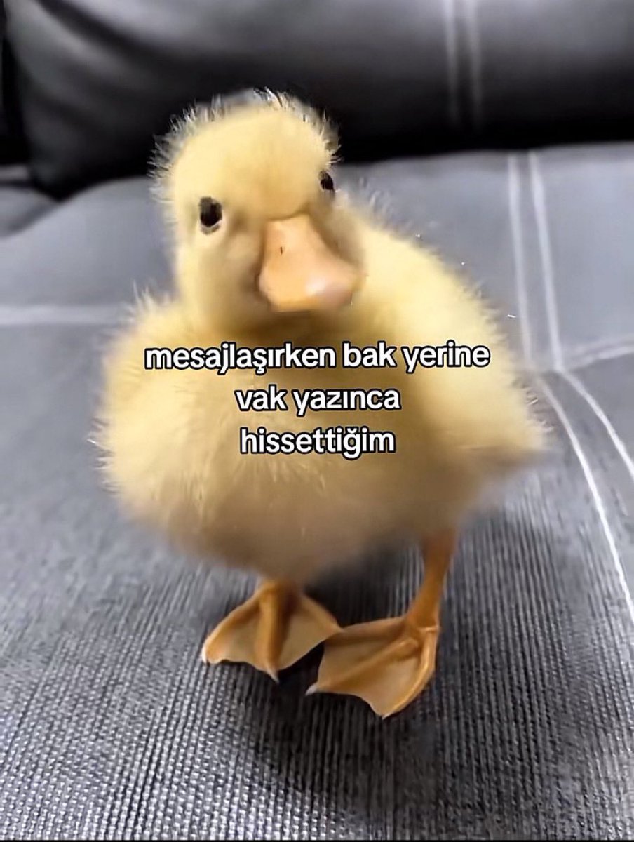 incinmisbigirl's tweet image. 