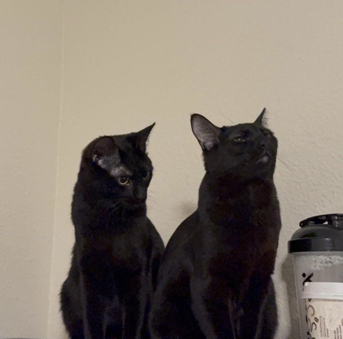 place where car shouldnt be (@carshouldnt) on Twitter photo 