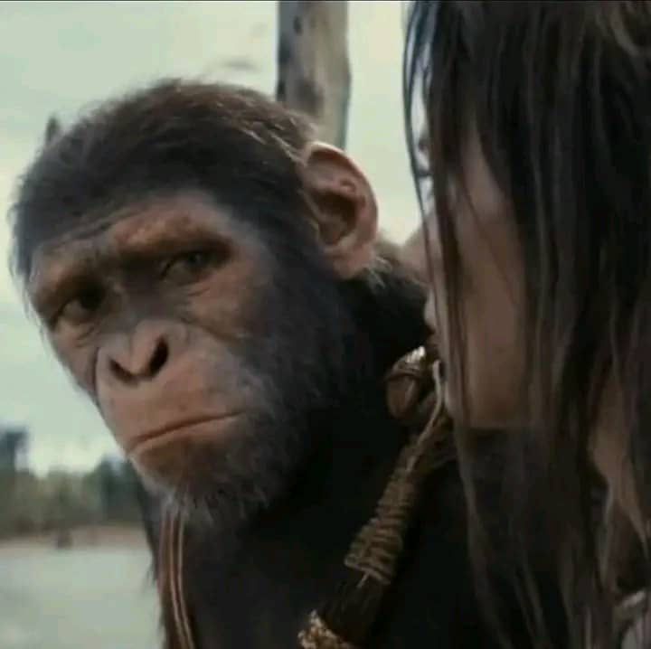 Aeesha🌺 tweet media